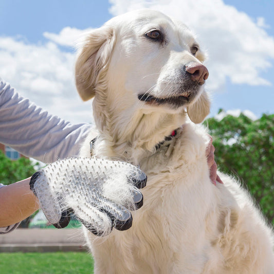 2-in-1 Pet Brush & Massage Glove