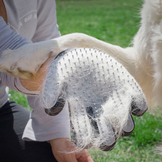 2-in-1 Pet Brush & Massage Glove
