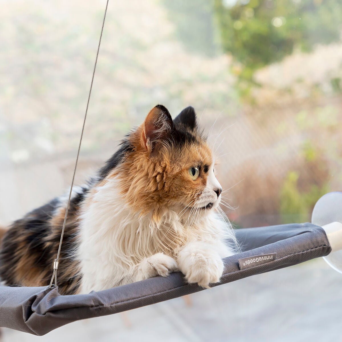 Cozy Hanging Cat Hammock – Space-Saving Bed