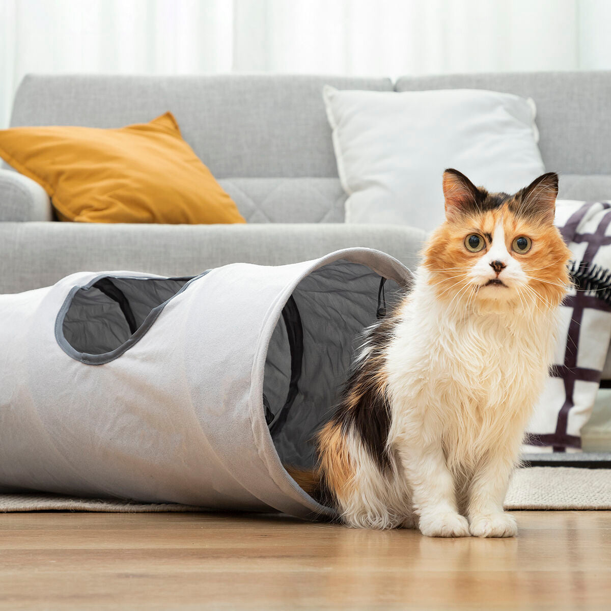 Foldable Pet Tunnel – Fun Hide & Play Tube