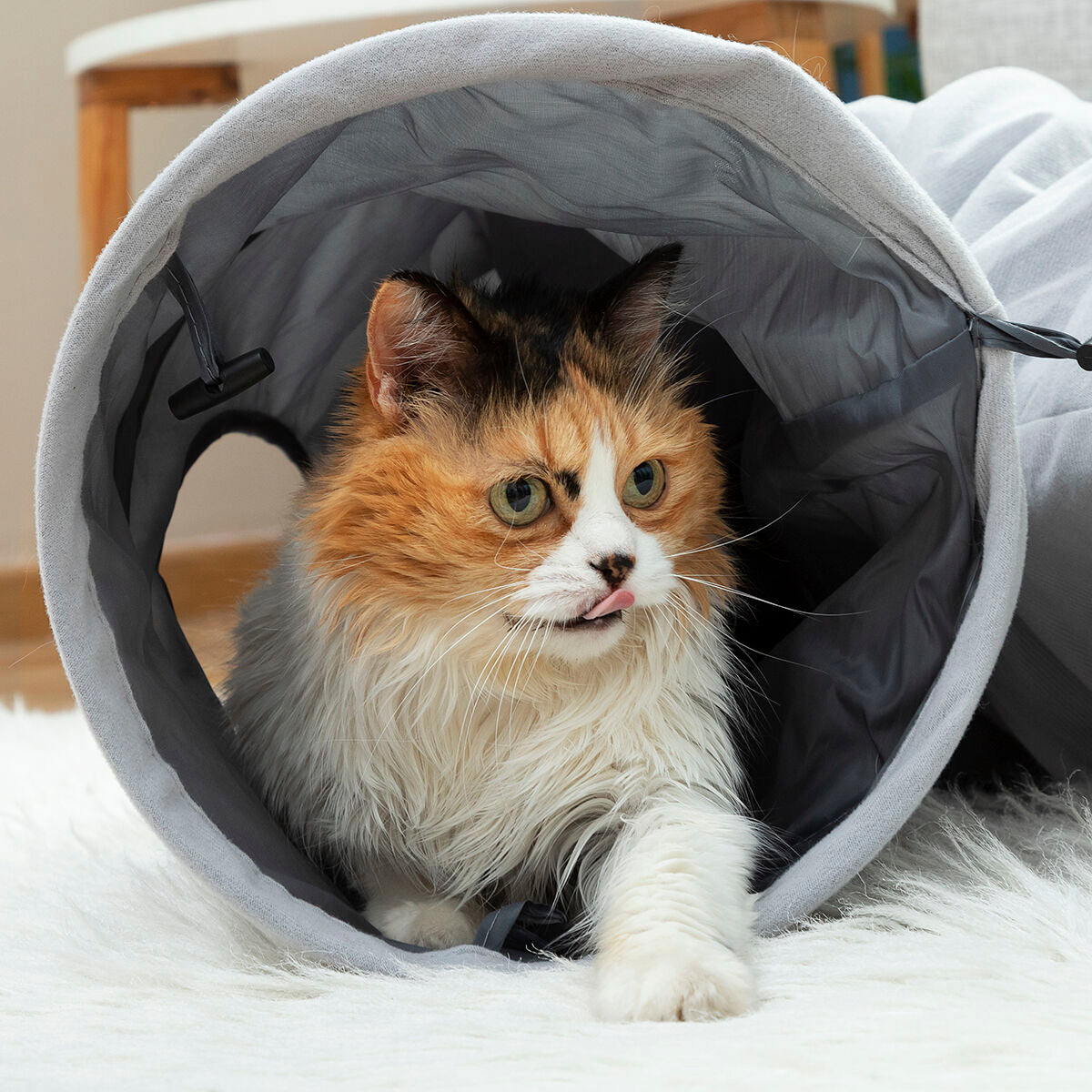 Foldable Pet Tunnel – Fun Hide & Play Tube