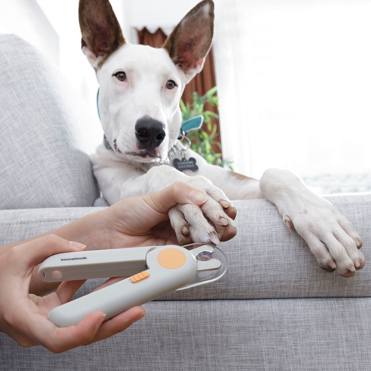 LED Pet Nail Clippers – Safe & Precise